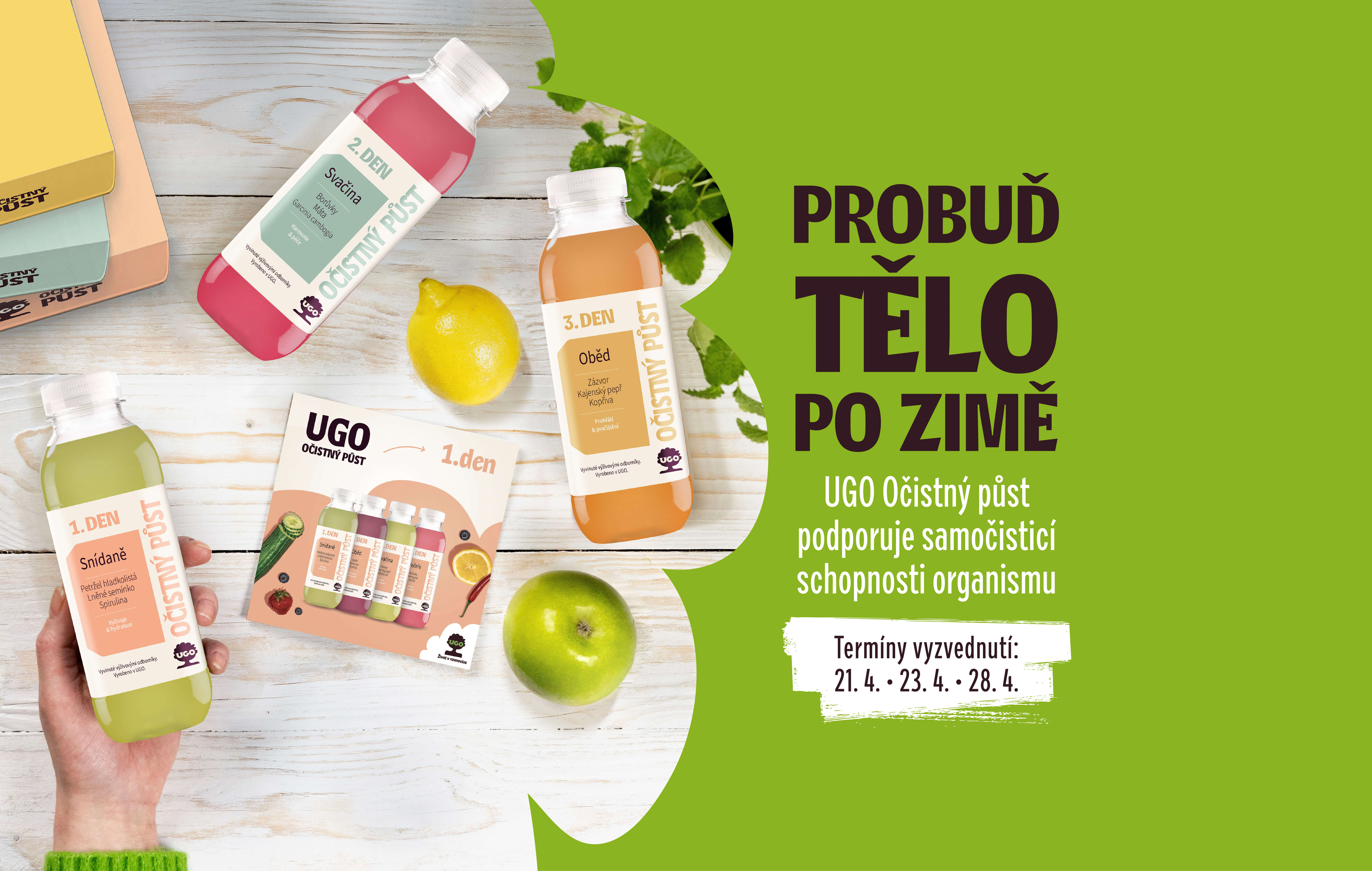 showcase--tablet--landscape